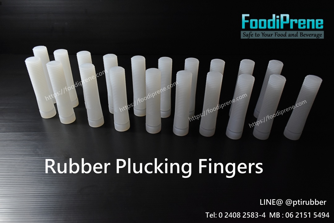 Rubber Plucking Fingers ประเทศไทย.JPG